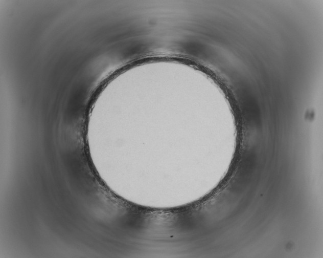 X0000096701314200802261555