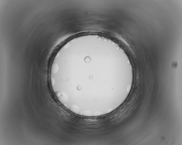 X0000096701315200802261555