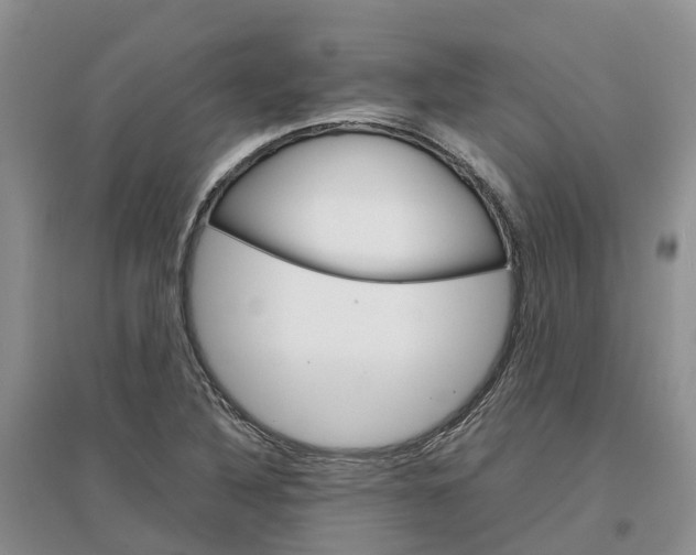 X0000096701316200802261555