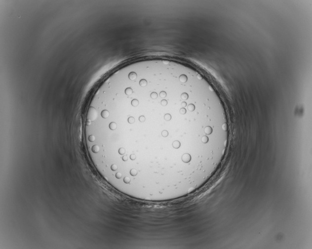 X0000096701317200802261555