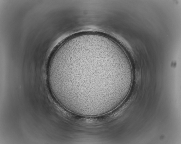 X0000096701318200802261555