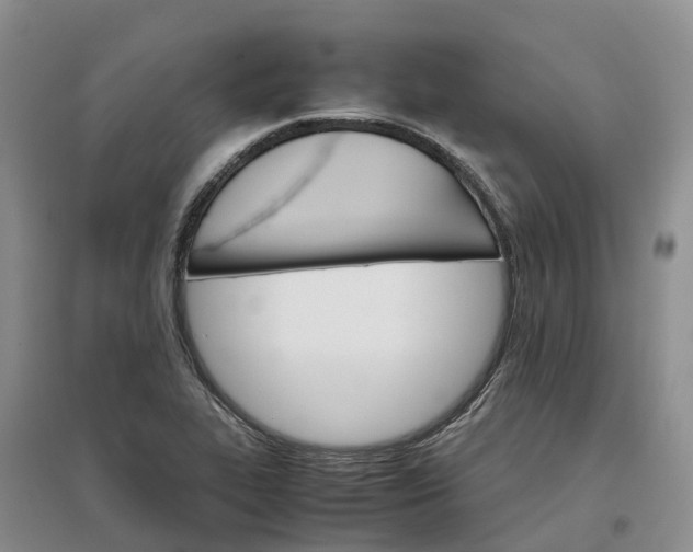 X0000096701319200802261555