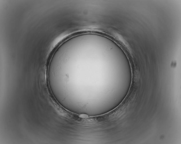 X0000096701320200802261555