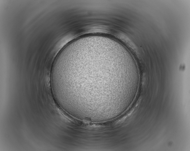 X0000096701321200802261555