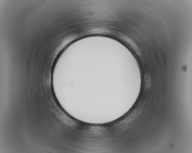 X0000096701322200802261555