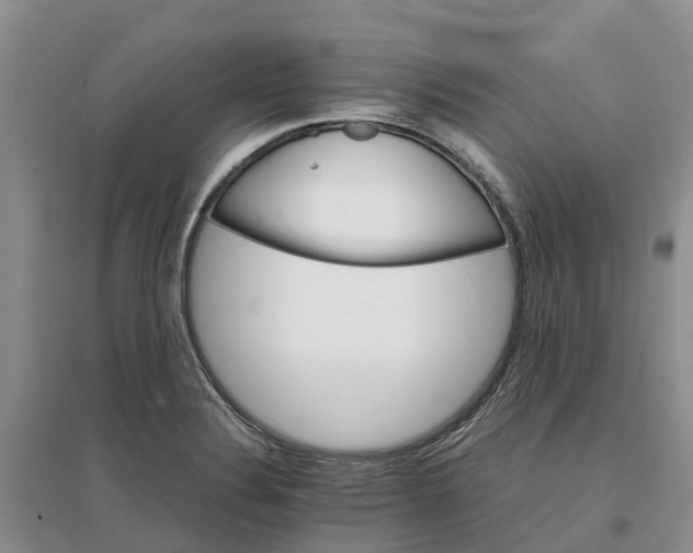 X0000096701324200802261555