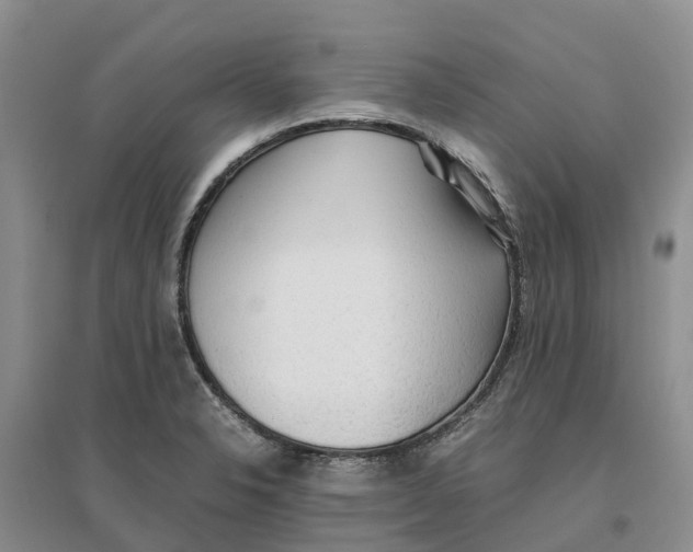 X0000096701326200802261555