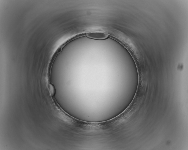 X0000096701328200802261555