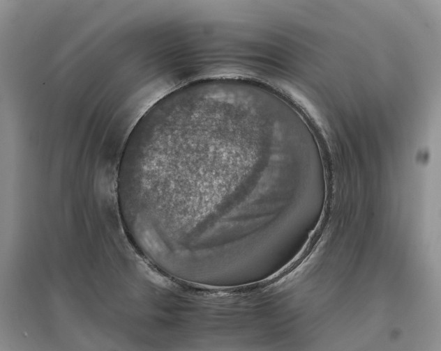 X0000096701329200802261555