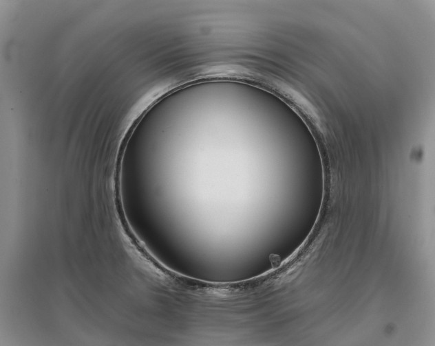 X0000096701330200802261555