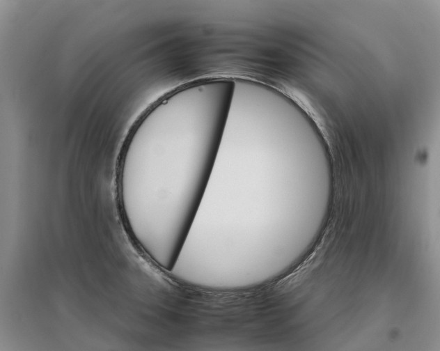 X0000096701331200802261555