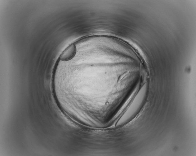 X0000096701333200802261555