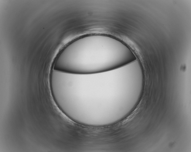 X0000096701334200802261555