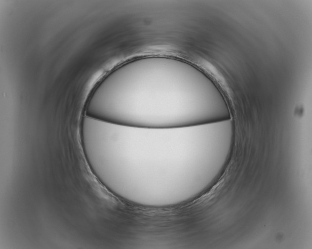 X0000096701336200802261555