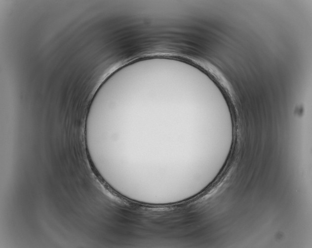 X0000096701337200802261555