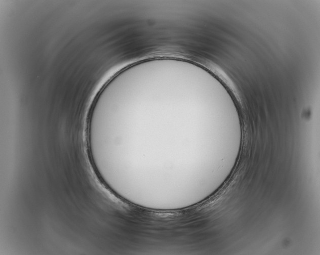 X0000096701339200802261555