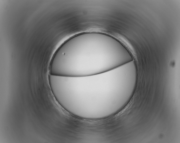 X0000096701340200802261555