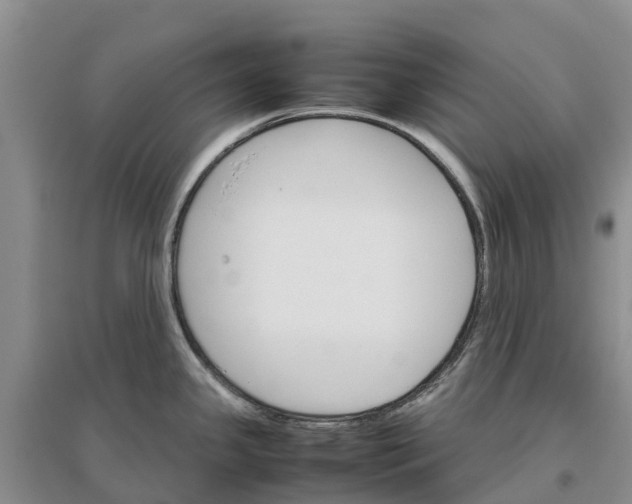 X0000096701341200802261555