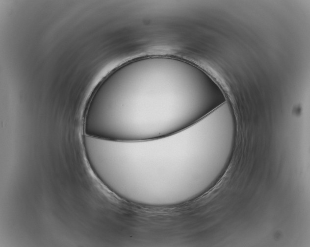 X0000096701342200802261556
