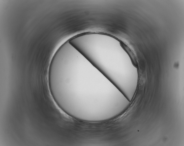 X0000096701343200802261556