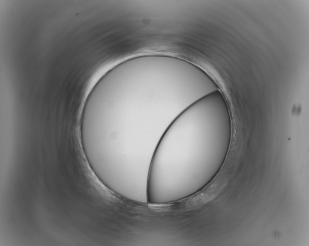 X0000096701344200802261556