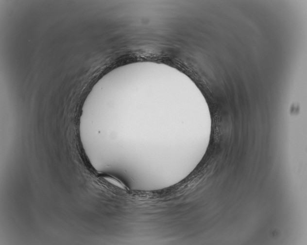 X0000096701345200802261555