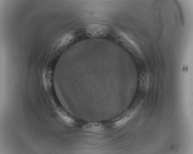 X0000096701346200802261555