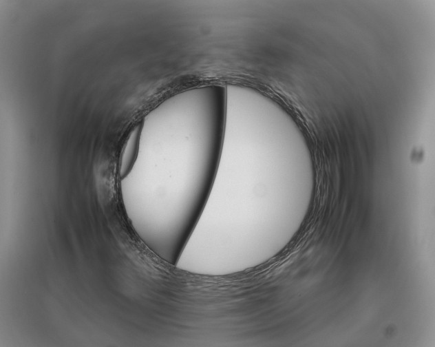 X0000096701348200802261555