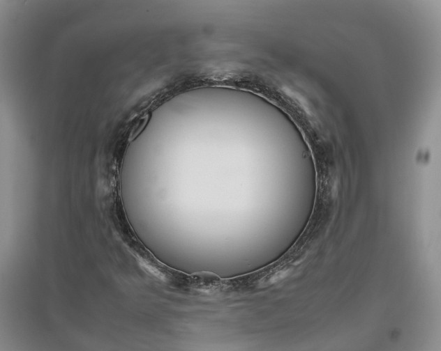 X0000096701349200802261555