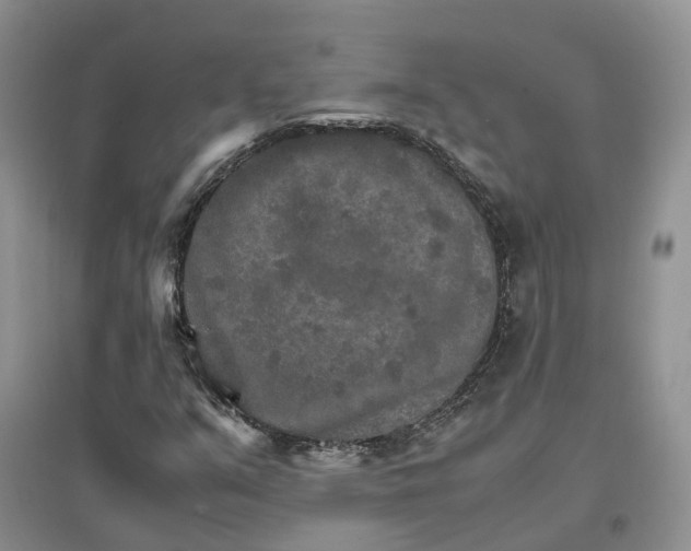 X0000096701351200802261555