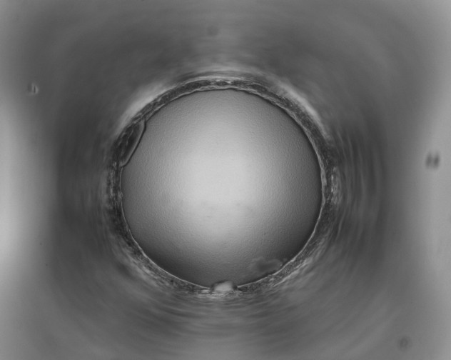 X0000096701352200802261555