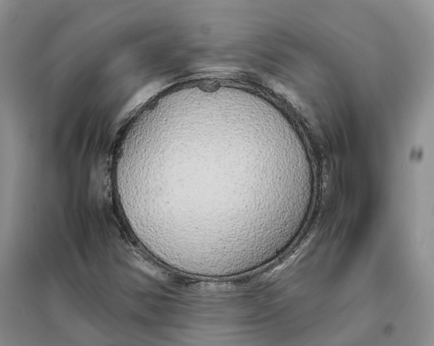 X0000096701354200802261554