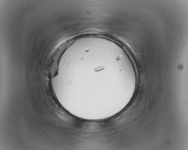 X0000096701355200802261554