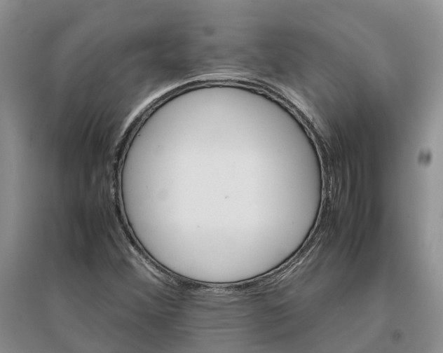 X0000096701356200802261554