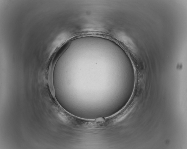 X0000096701357200802261554