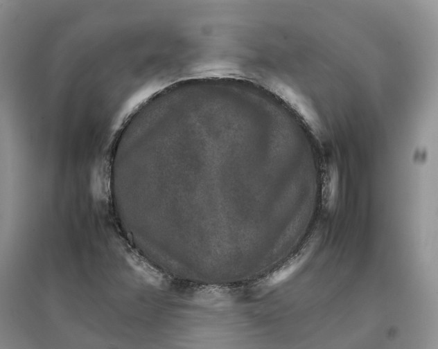 X0000096701358200802261554