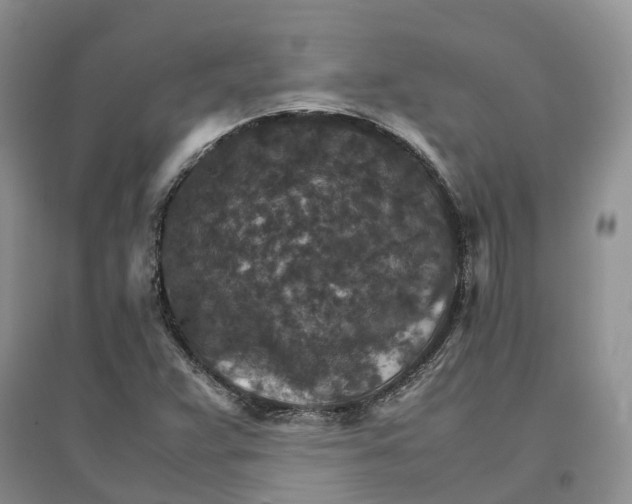 X0000096701359200802261554