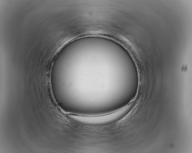 X0000096701361200802261554
