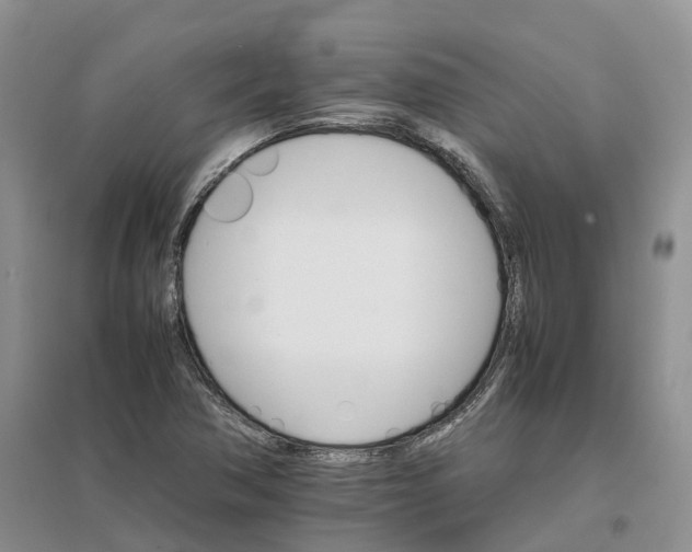 X0000096701362200802261554