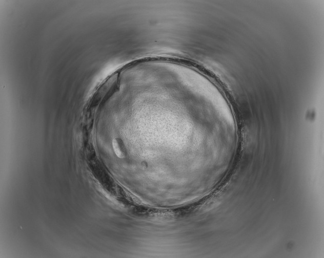 X0000096701363200802261554