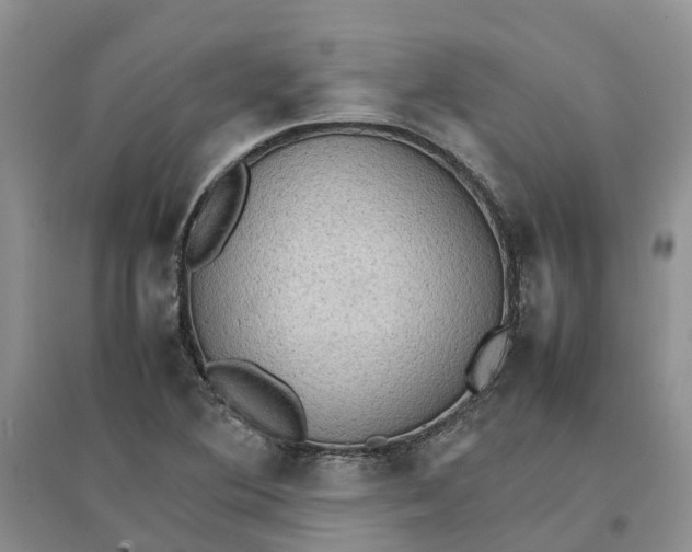 X0000096701364200802261554