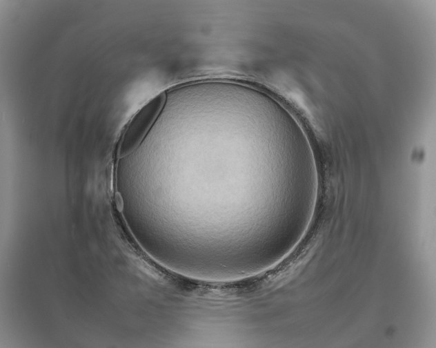 X0000096701365200802261554