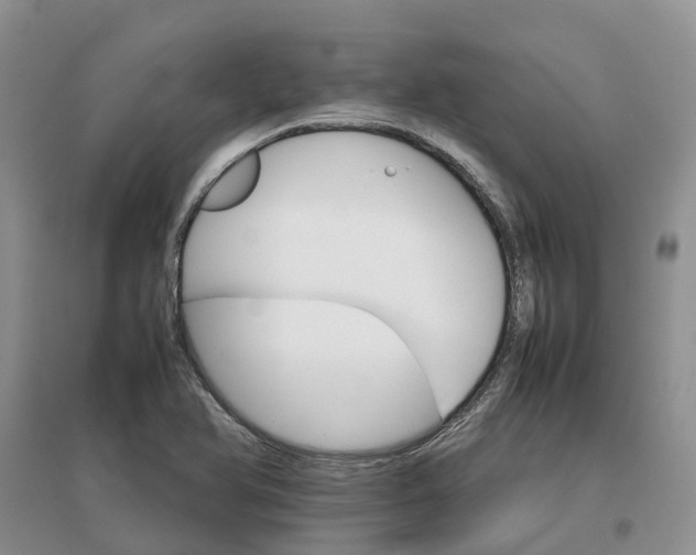 X0000096701366200802261554