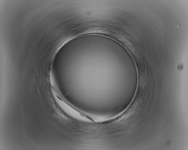 X0000096701369200802261554
