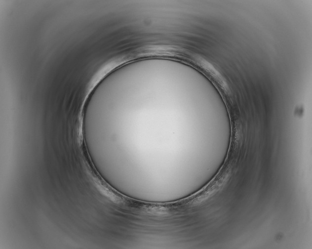 X0000096701370200802261554