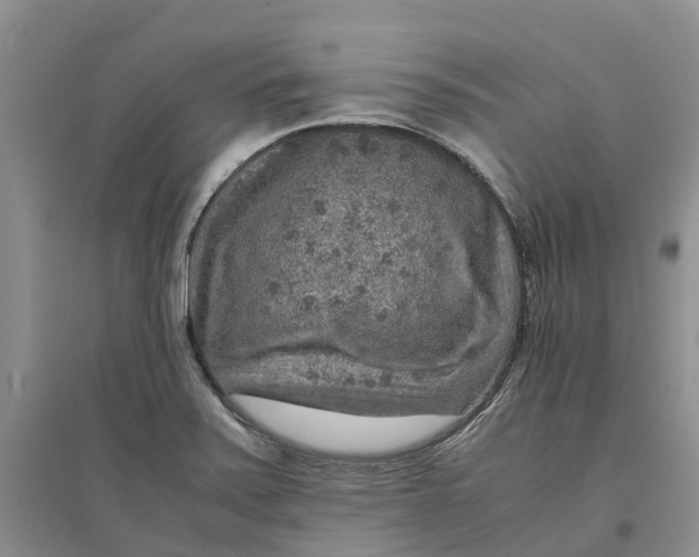 X0000096701371200802261554