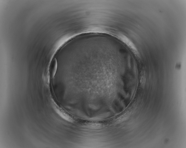 X0000096701372200802261554