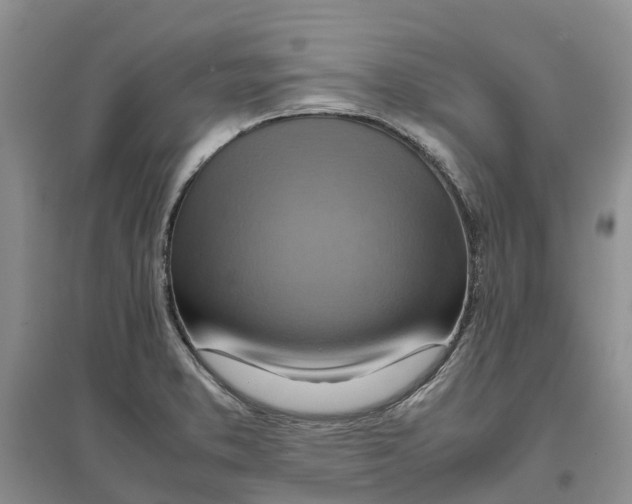 X0000096701373200802261554