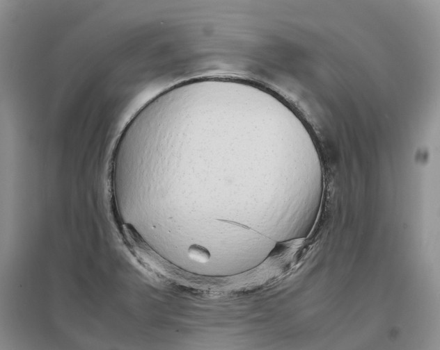 X0000096701375200802261554
