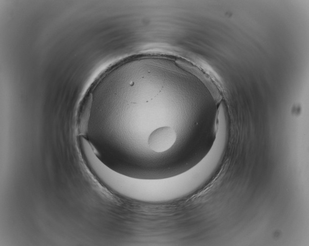 X0000096701376200802261554